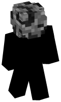 Skinfile