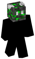 Skinfile