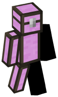 Skinfile