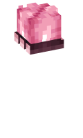 Skinfile