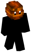 Skinfile