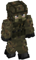 Skinfile