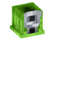 Skinfile