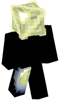 Skinfile