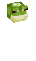 Skinfile