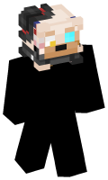 Skinfile