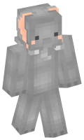 Skinfile