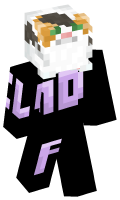 Skinfile