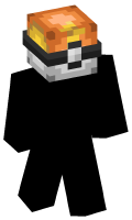 Skinfile