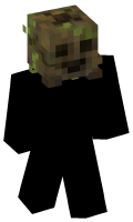 Skinfile