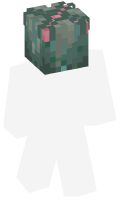 Skinfile