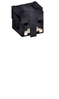 Skinfile