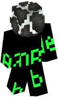 Skinfile