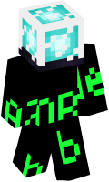 Skinfile