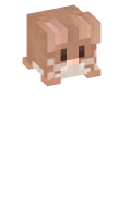 Skinfile