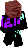 Skinfile