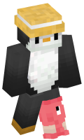 Skinfile