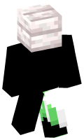 Skinfile
