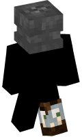 Skinfile