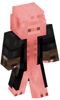 Skinfile
