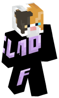Skinfile