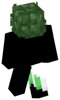 Skinfile