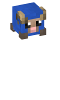 Skinfile