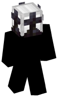 Skinfile