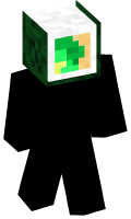 Skinfile