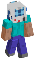 Skinfile