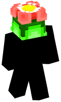 Skinfile