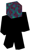 Skinfile