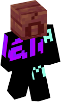 Skinfile