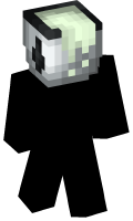 Skinfile