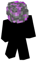 Skinfile