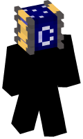 Skinfile