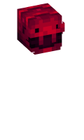 Skinfile