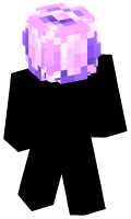 Skinfile