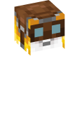 Skinfile