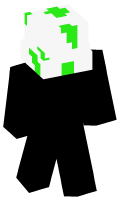 Skinfile