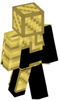 Skinfile