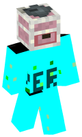 Skinfile