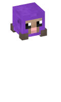 Skinfile