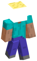 Skinfile