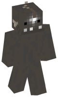 Skinfile