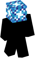 Skinfile