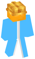 Skinfile