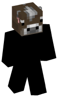 Skinfile