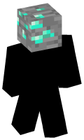Skinfile