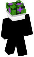 Skinfile